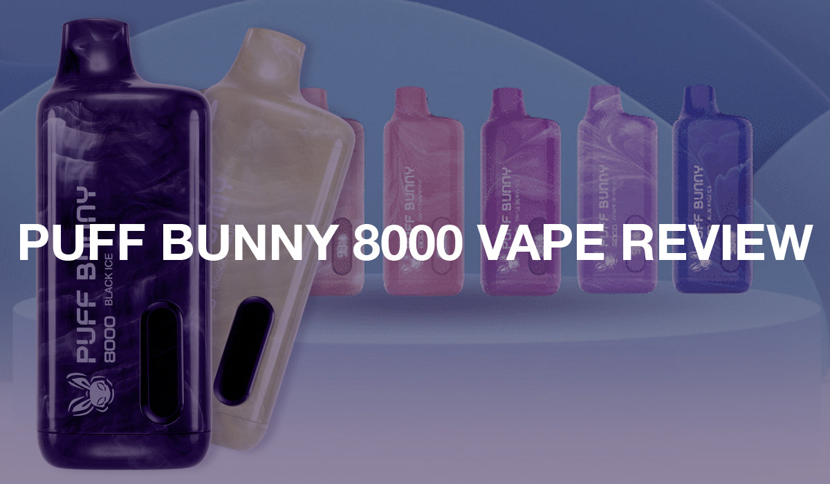Puff Bunny 8000 Disposable Vape Review
