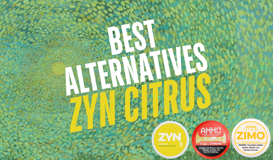 Best Citrus ZYN Alternatives