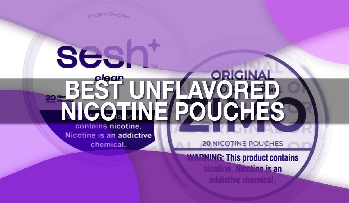 Best unflavored nic pouches