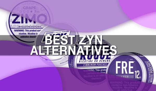 Best Zyn Alternatives