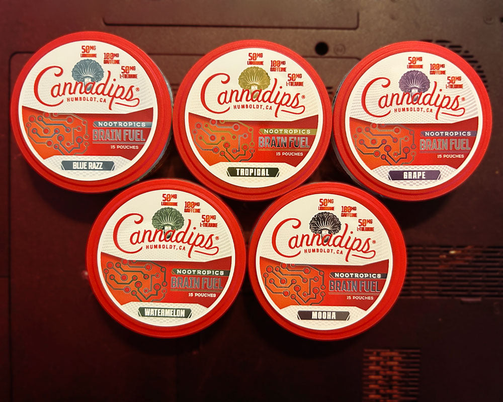 Cannadips Brain Fuel Pouches