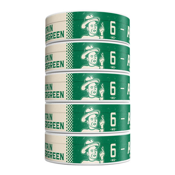 5 pack of 6mg Mountain Wintergreen ALP Pouches