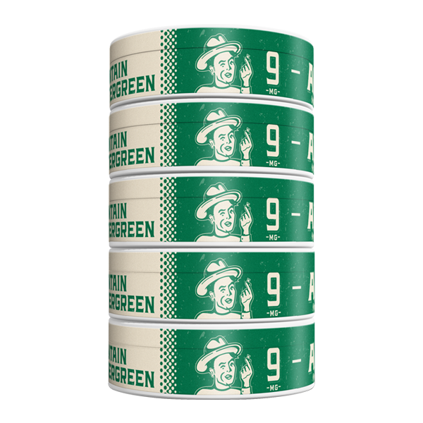 5 pack of 9mg Mountain Wintergreen ALP Pouches
