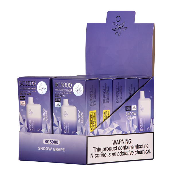 Snoow Grape BC5000 Elf Bar Vape 10-Pack
