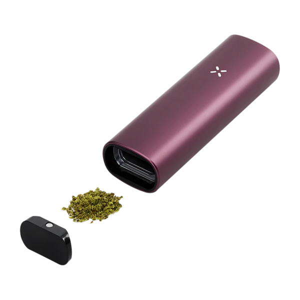 Pax Plus Elderberry Color - Complete Kit