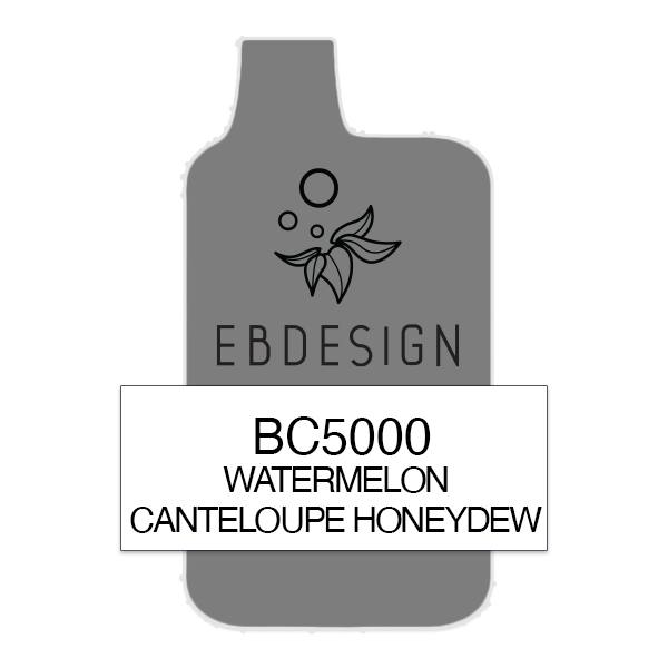 long lasting vapes disposable Watermelon Cantaloupe Honeydew Elf Bar 5000