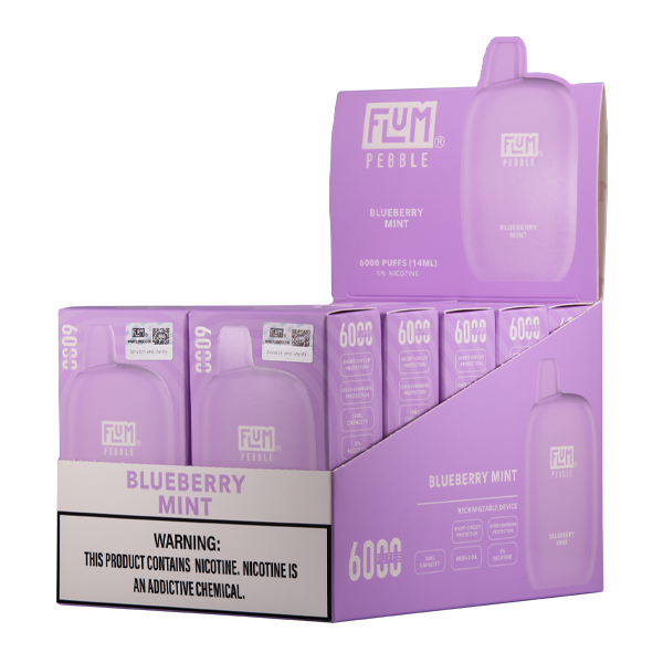 Blueberry Mint Flum Pebble Vape 10-Pack