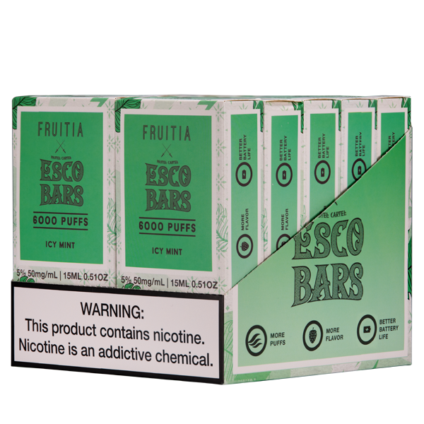 Icy Mint Fruitia X Esco Bar 6000 Puff Vape 10pk