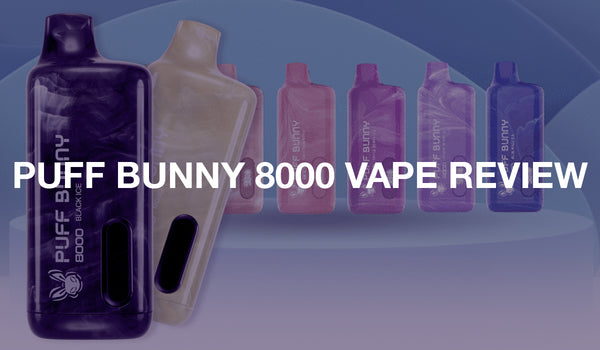 Puff Bunny 8000 Review