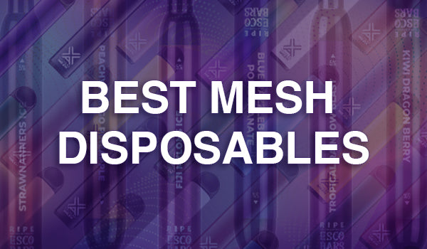Best Mesh Disposables