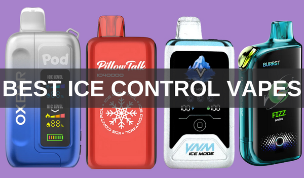 Best Ice Control Vapes