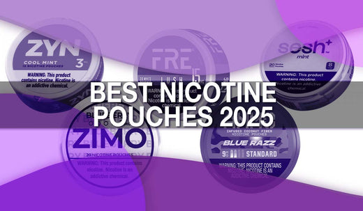 Best Nicotine Pouches 2025