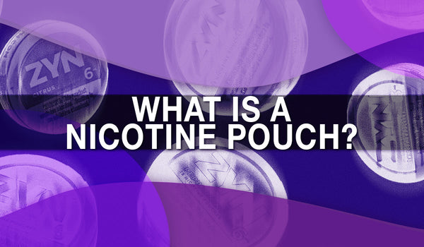 What is in a Nicotine Pouch?