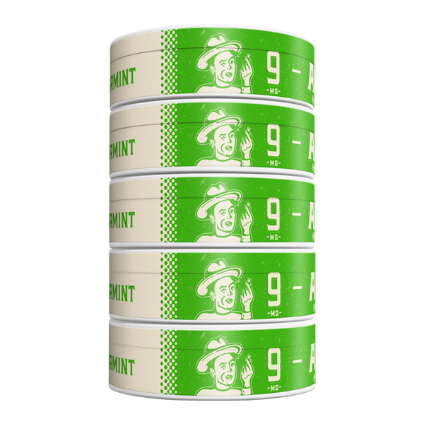 5 pack of 9mg Spearmint ALP Pouches