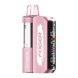 Juicy Peach Ice FOGER Switch Pro Kit
