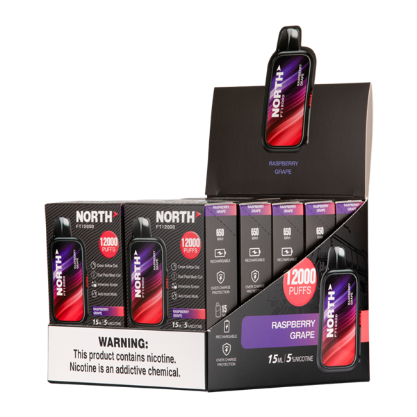 Raspberry Grape North FT12000 Vape 10 Pack