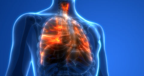 vape lungs